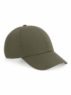 Organic Cotton 6 Panel Cap